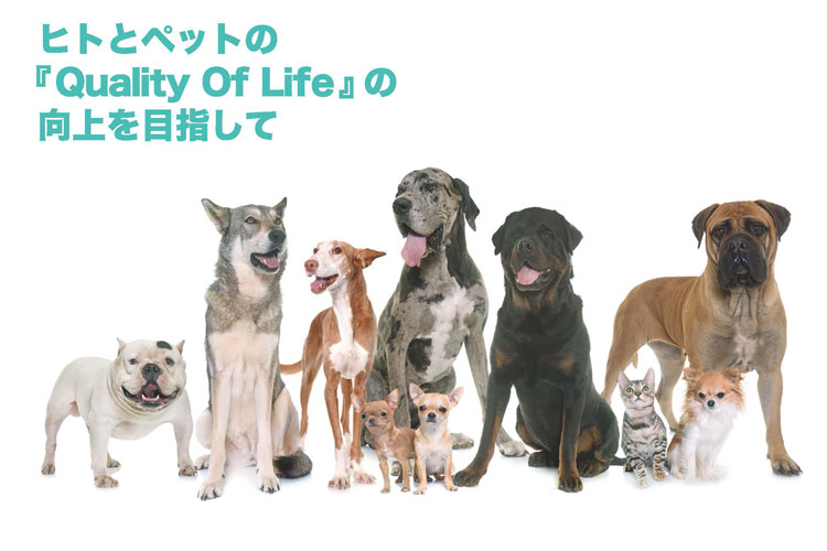 メディセル(筋膜リリース)