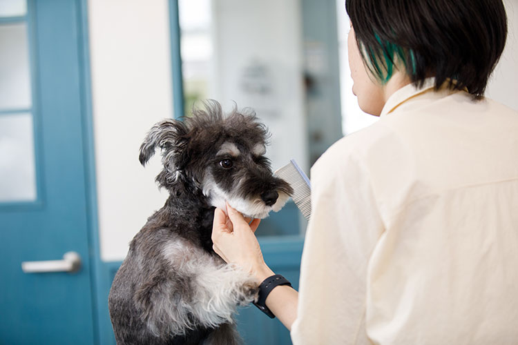 ペットサロンマルコよりご挨拶
