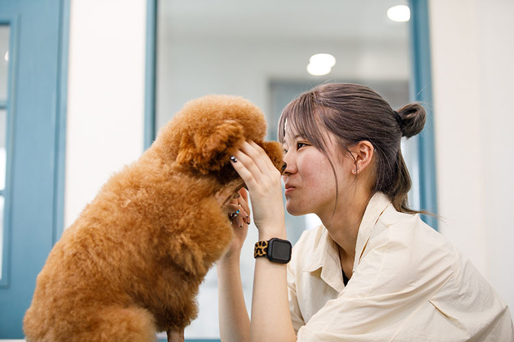 ペットサロンマルコよりご挨拶