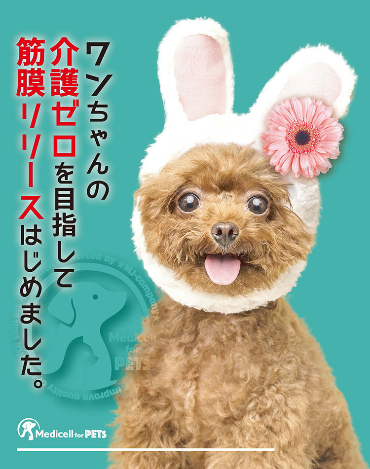 メディセル(筋膜リリース)